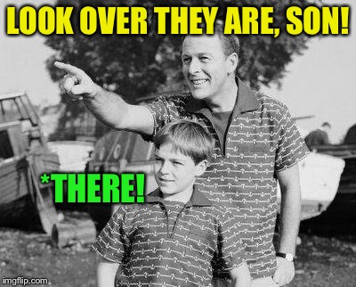 Look Son Meme | LOOK OVER THEY ARE, SON! *THERE! | image tagged in memes,look son | made w/ Imgflip meme maker