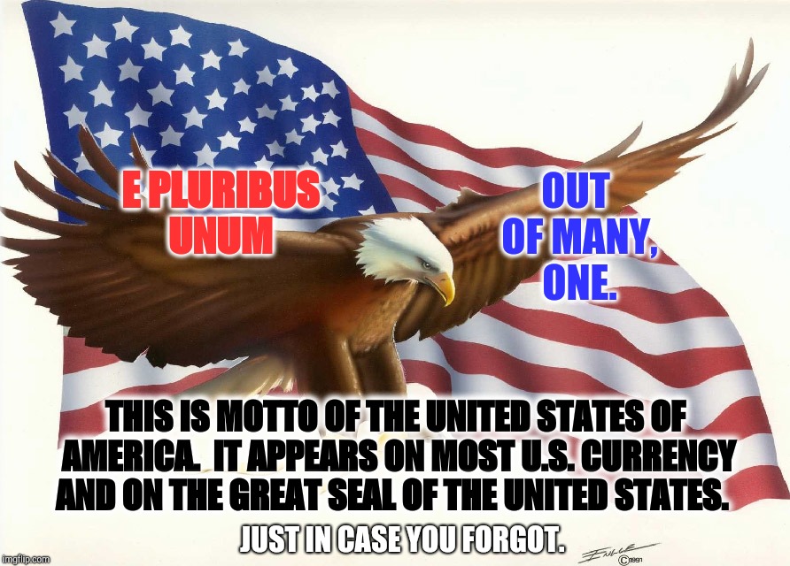 E Pluribus Unum  | OUT OF MANY, ONE. E PLURIBUS UNUM; THIS IS MOTTO OF THE UNITED STATES OF AMERICA.  IT APPEARS ON MOST U.S. CURRENCY AND ON THE GREAT SEAL OF THE UNITED STATES. JUST IN CASE YOU FORGOT. | image tagged in immigration,united states of america,immigrants,american flag,memes,meme | made w/ Imgflip meme maker