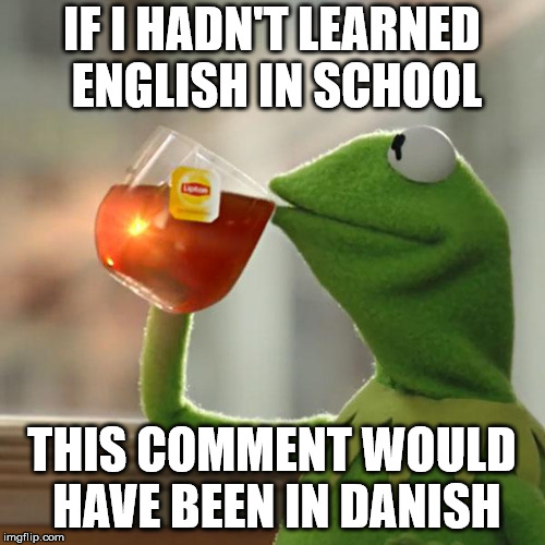 But That's None Of My Business Meme | IF I HADN'T LEARNED ENGLISH IN SCHOOL THIS COMMENT WOULD HAVE BEEN IN DANISH | image tagged in memes,but thats none of my business,kermit the frog | made w/ Imgflip meme maker