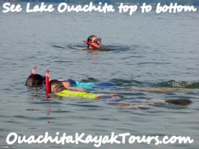 Ouachita Kayak Tours |  See Lake Ouachita top to bottom; OuachitaKayakTours.com | image tagged in kayak,lake,tour | made w/ Imgflip meme maker