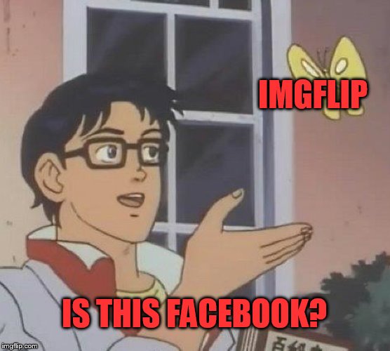 The new IMGFLIP | IMGFLIP; IS THIS FACEBOOK? | image tagged in memes,is this a pigeon | made w/ Imgflip meme maker