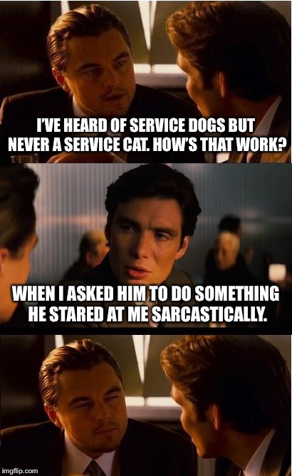 I saw a service dog at the airport and imagined my cat doing that. ROFL | I’VE HEARD OF SERVICE DOGS BUT NEVER A SERVICE CAT. HOW’S THAT WORK? WHEN I ASKED HIM TO DO SOMETHING HE STARED AT ME SARCASTICALLY. | image tagged in memes,inception,dogs,cats,service,funny memes | made w/ Imgflip meme maker