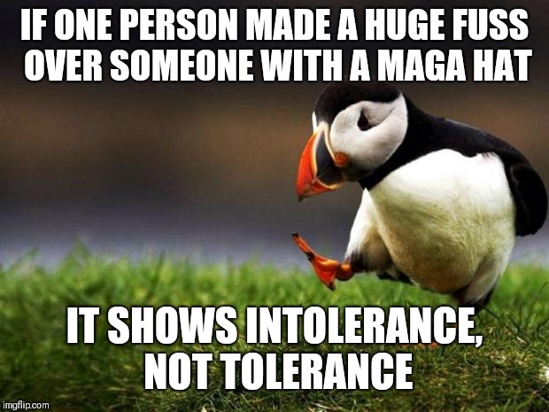 Unpopular Opinion Puffin Meme | IF ONE PERSON MADE A HUGE FUSS OVER SOMEONE WITH A MAGA HAT; IT SHOWS INTOLERANCE, NOT TOLERANCE | image tagged in memes,unpopular opinion puffin | made w/ Imgflip meme maker