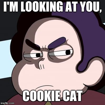 hungry | I'M LOOKING AT YOU, COOKIE CAT | image tagged in creative | made w/ Imgflip meme maker