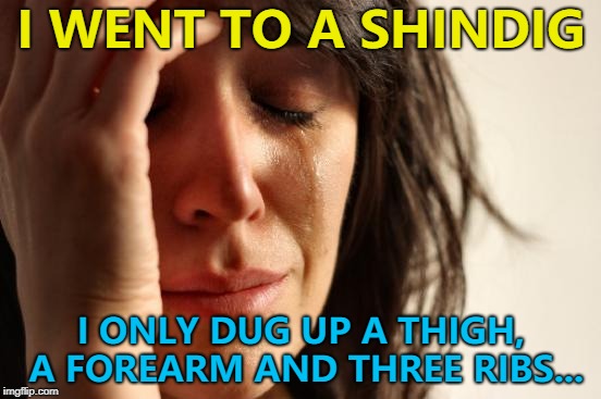 Worst. Shindig. Ever. :) | I WENT TO A SHINDIG; I ONLY DUG UP A THIGH, A FOREARM AND THREE RIBS... | image tagged in memes,first world problems,shindig | made w/ Imgflip meme maker
