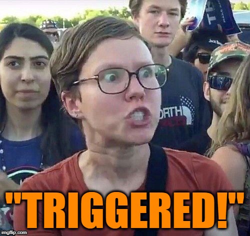 foggy | "TRIGGERED!" | image tagged in triggered feminist | made w/ Imgflip meme maker