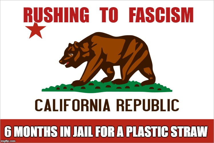 California's Rush to Fascism | RUSHING   TO   FASCISM; 6 MONTHS IN JAIL FOR A PLASTIC STRAW | image tagged in fascism,fascist,socialism,california,plastic straw,environment | made w/ Imgflip meme maker