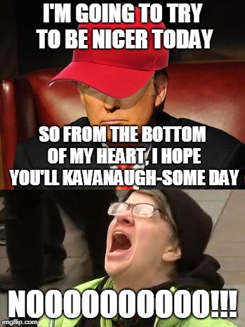 Tormentor in Chief | I'M GOING TO TRY TO BE NICER TODAY; SO FROM THE BOTTOM OF MY HEART, I HOPE YOU'LL KAVANAUGH-SOME DAY; NOOOOOOOOOO!!! | image tagged in tormentor in chief | made w/ Imgflip meme maker