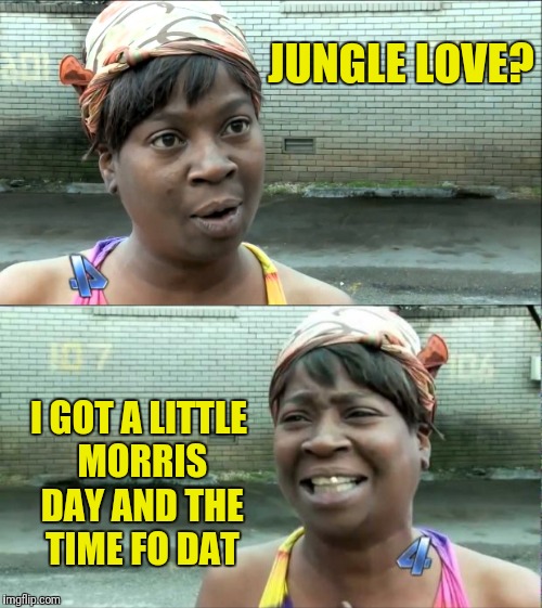I hope everybody has the time to laugh today.  | JUNGLE LOVE? I GOT A LITTLE MORRIS DAY AND THE TIME FO DAT | image tagged in memes,aint nobody got time for that | made w/ Imgflip meme maker