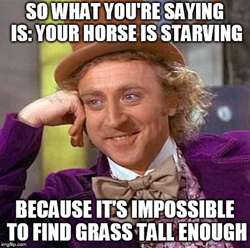 Creepy Condescending Wonka Meme | SO WHAT YOU'RE SAYING IS: YOUR HORSE IS STARVING; BECAUSE IT'S IMPOSSIBLE TO FIND GRASS TALL ENOUGH | image tagged in memes,creepy condescending wonka | made w/ Imgflip meme maker