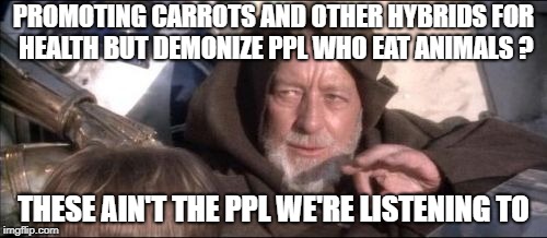 These Aren't The Droids You Were Looking For | PROMOTING CARROTS AND OTHER HYBRIDS FOR HEALTH BUT DEMONIZE PPL WHO EAT ANIMALS ? THESE AIN'T THE PPL WE'RE LISTENING TO | image tagged in memes,these arent the droids you were looking for | made w/ Imgflip meme maker