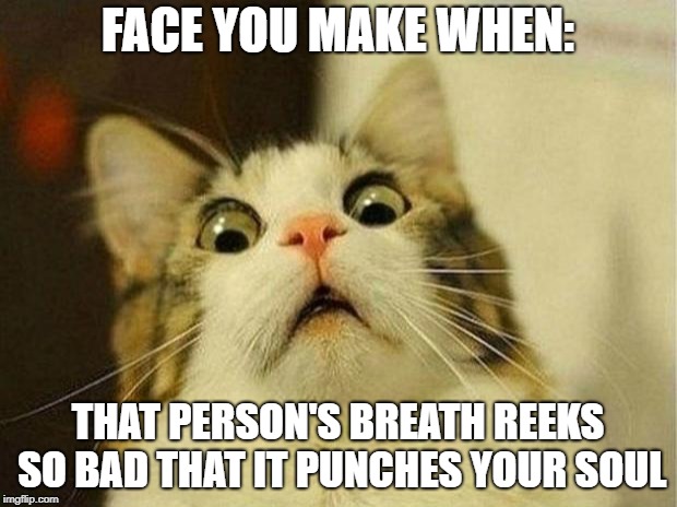 Scared Cat Meme | FACE YOU MAKE WHEN:; THAT PERSON'S BREATH REEKS SO BAD THAT IT PUNCHES YOUR SOUL | image tagged in memes,scared cat | made w/ Imgflip meme maker