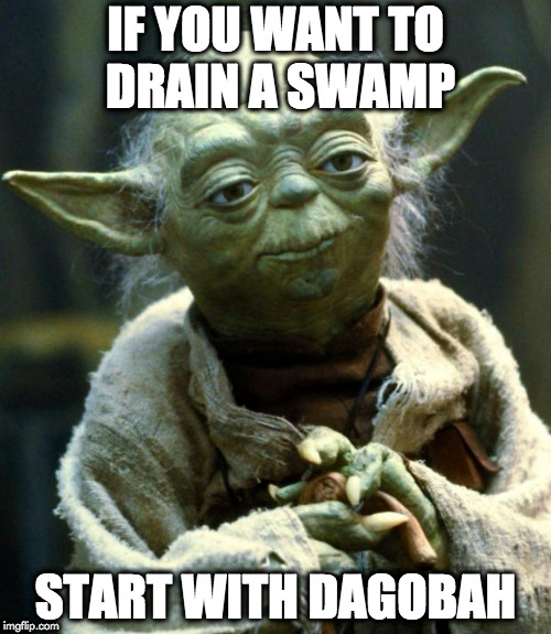 Star Wars Yoda Meme | IF YOU WANT TO DRAIN A SWAMP; START WITH DAGOBAH | image tagged in memes,star wars yoda | made w/ Imgflip meme maker