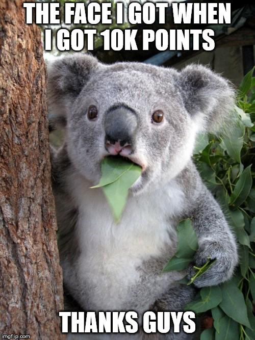 Surprised Koala Meme | THE FACE I GOT WHEN I GOT 10K POINTS; THANKS GUYS | image tagged in memes,surprised koala | made w/ Imgflip meme maker