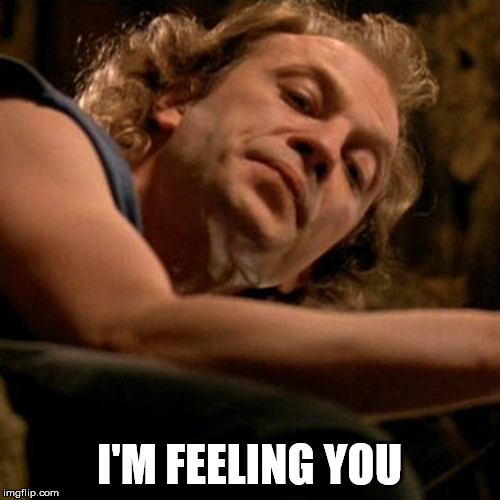 Buffalo Bill | I'M FEELING YOU | image tagged in buffalo bill | made w/ Imgflip meme maker