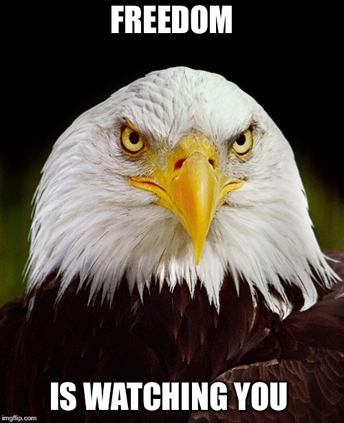 FREEDOM; IS WATCHING YOU | image tagged in freedom | made w/ Imgflip meme maker