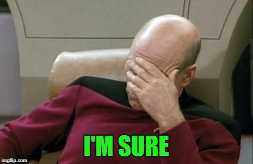 Captain Picard Facepalm Meme | I'M SURE | image tagged in memes,captain picard facepalm | made w/ Imgflip meme maker