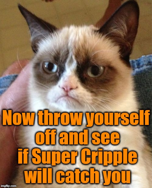 Grumpy Cat Meme | Now throw yourself off and see if Super Cripple will catch you | image tagged in memes,grumpy cat | made w/ Imgflip meme maker