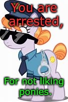 Start to get in to ponies, People! | You are arrested, For not liking ponies. | image tagged in mlp,my little pony,whydoesitstaffbronymemes,police,arrested | made w/ Imgflip meme maker