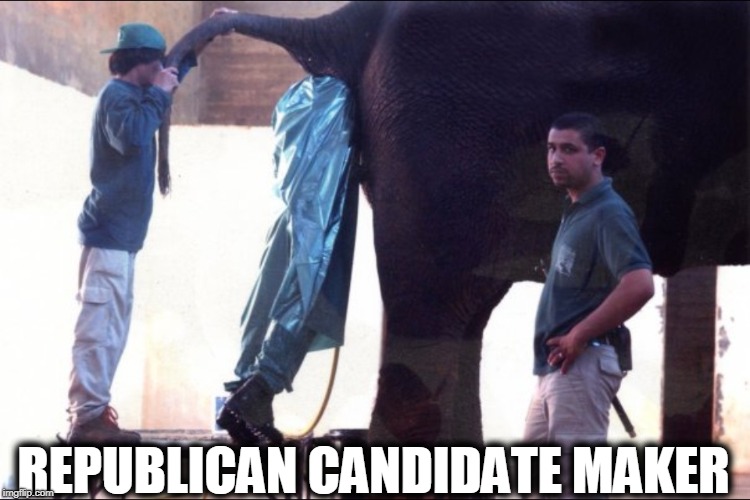 Republican Candidate Maker | REPUBLICAN CANDIDATE MAKER | image tagged in elephant,republicans,candidates | made w/ Imgflip meme maker