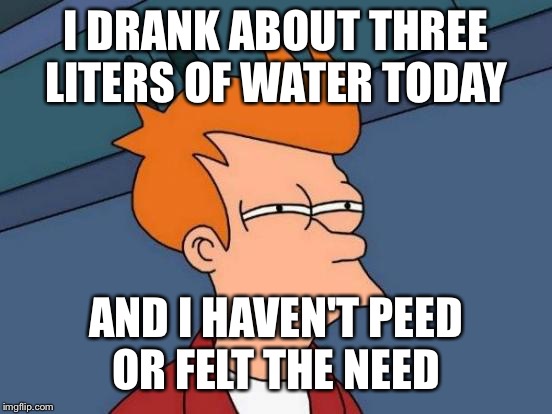 The rhyme in this meme is by accident  | I DRANK ABOUT THREE LITERS OF WATER TODAY; AND I HAVEN'T PEED OR FELT THE NEED | image tagged in memes,futurama fry | made w/ Imgflip meme maker