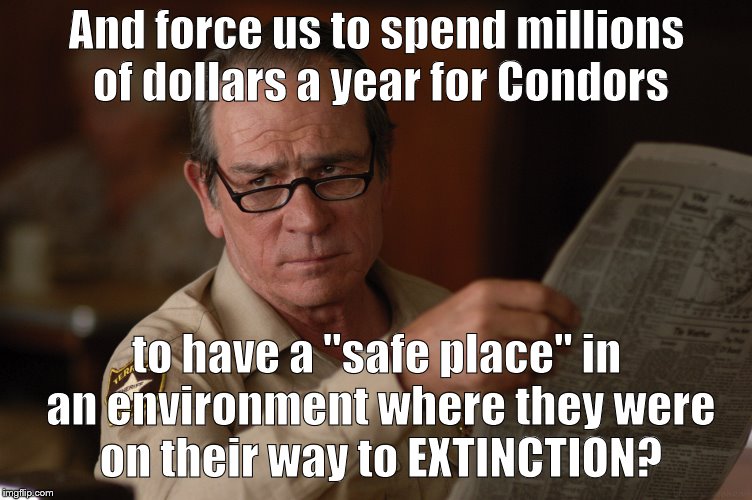 say what? | And force us to spend millions of dollars a year for Condors to have a "safe place" in an environment where they were on their way to EXTINC | image tagged in say what | made w/ Imgflip meme maker