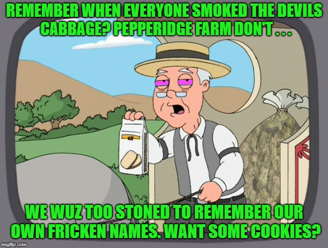 REMEMBER WHEN EVERYONE SMOKED THE DEVILS CABBAGE? PEPPERIDGE FARM DON'T . . . WE WUZ TOO STONED TO REMEMBER OUR OWN FRICKEN NAMES. WANT SOME | made w/ Imgflip meme maker