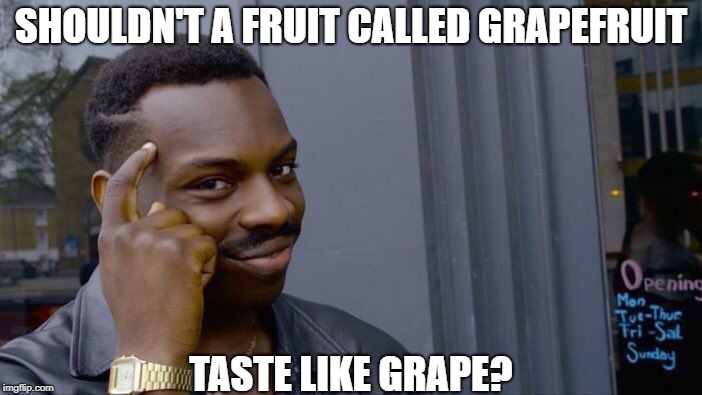 Stop Making Sense | SHOULDN'T A FRUIT CALLED GRAPEFRUIT; TASTE LIKE GRAPE? | image tagged in memes,roll safe think about it | made w/ Imgflip meme maker