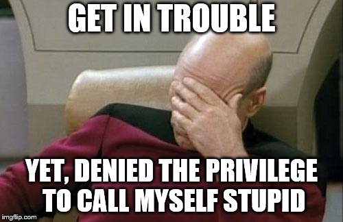 should I hate my life? | GET IN TROUBLE; YET, DENIED THE PRIVILEGE TO CALL MYSELF STUPID | image tagged in memes,captain picard facepalm | made w/ Imgflip meme maker