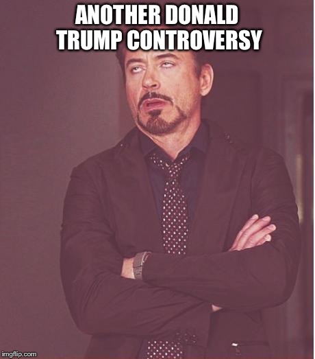 Face You Make Robert Downey Jr | ANOTHER DONALD TRUMP CONTROVERSY | image tagged in memes,face you make robert downey jr | made w/ Imgflip meme maker