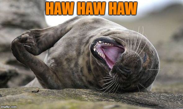 HAW HAW HAW | made w/ Imgflip meme maker