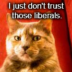 don't trust liberals cat. | I just don't trust those liberals. | image tagged in suspicious cat,neverhillary,liberals | made w/ Imgflip meme maker