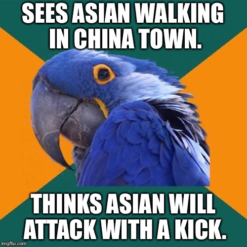 Everybody wants Kung Fu fighting | SEES ASIAN WALKING IN CHINA TOWN. THINKS ASIAN WILL ATTACK WITH A KICK. | image tagged in memes,paranoid parrot,asian,kick,china,kung fu | made w/ Imgflip meme maker