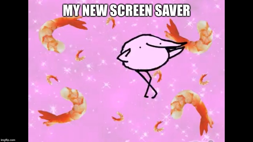 No joke | MY NEW SCREEN SAVER | image tagged in bird | made w/ Imgflip meme maker