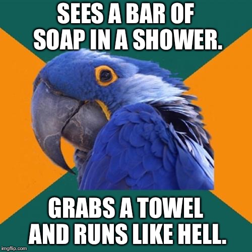 Do not drop the soap | SEES A BAR OF SOAP IN A SHOWER. GRABS A TOWEL AND RUNS LIKE HELL. | image tagged in memes,paranoid parrot,soap,prison,shower,joke | made w/ Imgflip meme maker