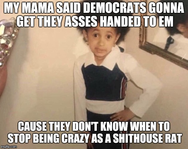 MY MAMA SAID DEMOCRATS GONNA GET THEY ASSES HANDED TO EM CAUSE THEY DON'T KNOW WHEN TO STOP BEING CRAZY AS A SHITHOUSE RAT | made w/ Imgflip meme maker