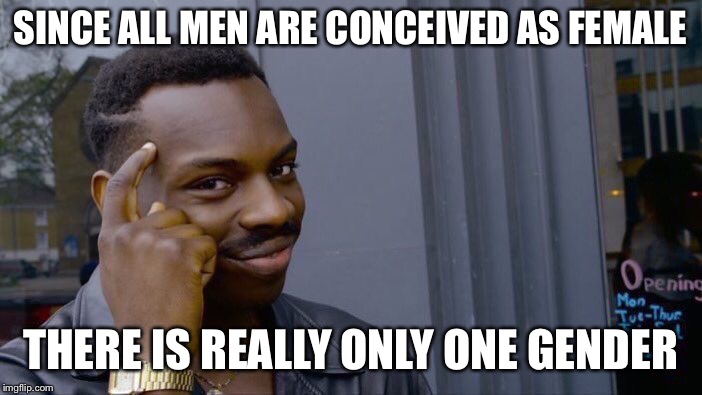 Roll Safe Think About It Meme | SINCE ALL MEN ARE CONCEIVED AS FEMALE THERE IS REALLY ONLY ONE GENDER | image tagged in memes,roll safe think about it | made w/ Imgflip meme maker