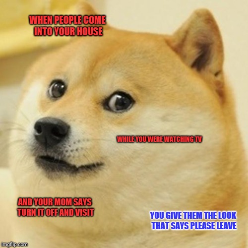 Doge | WHEN PEOPLE COME INTO YOUR HOUSE; WHILE YOU WERE WATCHING TV; AND YOUR MOM SAYS TURN IT OFF AND VISIT; YOU GIVE THEM THE LOOK THAT SAYS PLEASE LEAVE | image tagged in memes,doge | made w/ Imgflip meme maker