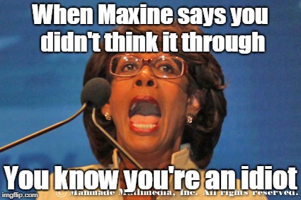 Maxine waters | When Maxine says you didn't think it through; You know you're an idiot | image tagged in maxine waters | made w/ Imgflip meme maker