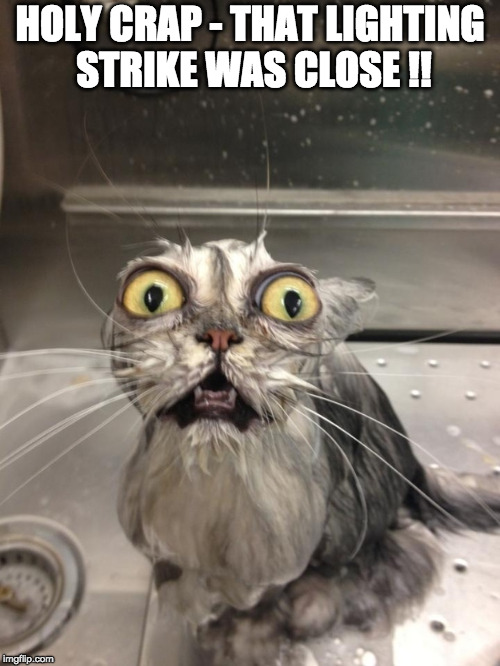 Scared Cat | HOLY CRAP - THAT LIGHTING STRIKE WAS CLOSE !! | image tagged in scared cat | made w/ Imgflip meme maker