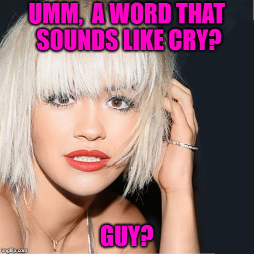 ditz | UMM,  A WORD THAT SOUNDS LIKE CRY? GUY? | image tagged in ditz | made w/ Imgflip meme maker