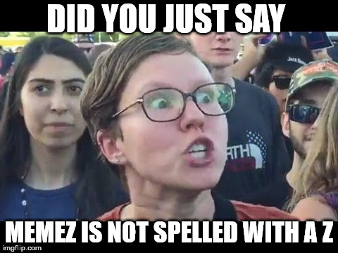 sjw bullshit | DID YOU JUST SAY; MEMEZ IS NOT SPELLED WITH A Z | image tagged in sjw | made w/ Imgflip meme maker