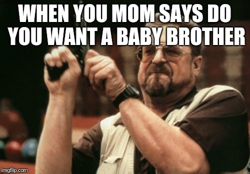 Am I The Only One Around Here Meme | WHEN YOU MOM SAYS DO YOU WANT A BABY BROTHER | image tagged in memes,am i the only one around here | made w/ Imgflip meme maker