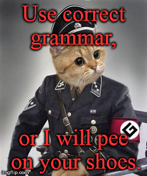He'll do it, too! | Use correct grammar, or I will pee on your shoes. | image tagged in grammar nazi cat,funny,memes | made w/ Imgflip meme maker