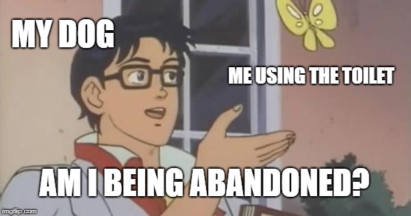 Is This a Pigeon | MY DOG; ME USING THE TOILET; AM I BEING ABANDONED? | image tagged in is this a pigeon,AdviceAnimals | made w/ Imgflip meme maker
