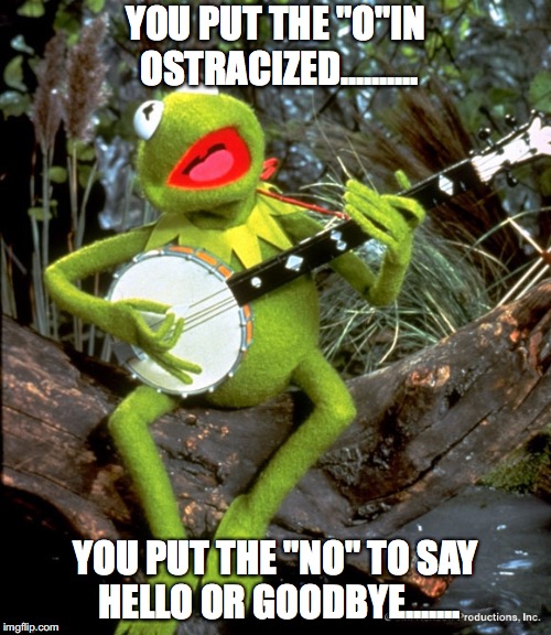 Kermit guitar  | YOU PUT THE "O"IN OSTRACIZED.......... YOU PUT THE "NO" TO SAY HELLO OR GOODBYE....... | image tagged in kermit guitar | made w/ Imgflip meme maker