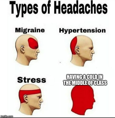Types of Headaches meme | HAVING A COLD IN THE MIDDLE OF CLASS | image tagged in types of headaches meme | made w/ Imgflip meme maker