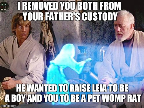 No family is perfect |  I REMOVED YOU BOTH FROM YOUR FATHER'S CUSTODY; HE WANTED TO RAISE LEIA TO BE A BOY AND YOU TO BE A PET WOMP RAT | image tagged in help me obi wan kenobi,memes,star wars,gender identity,bad parenting,luke skywalker | made w/ Imgflip meme maker