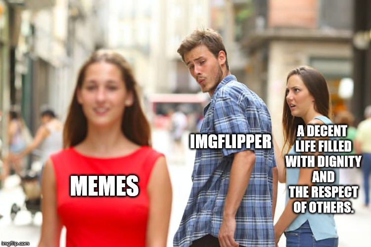 Just kidding...??? | A DECENT LIFE FILLED WITH DIGNITY AND THE RESPECT OF OTHERS. IMGFLIPPER; MEMES | image tagged in memes,distracted boyfriend,first world problems,hide the pain harold,imgflip,success kid | made w/ Imgflip meme maker