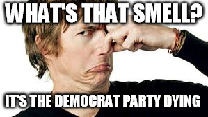 WHAT'S THAT SMELL? IT'S THE DEMOCRAT PARTY DYING | image tagged in democrats | made w/ Imgflip meme maker